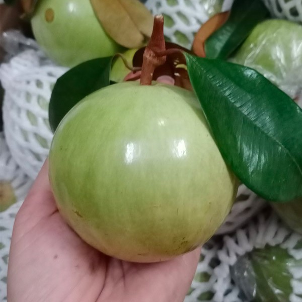 (HỘ KINH DOANH) TRƯƠNG THỊ NGUYỀN