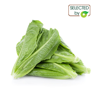 (HỘ KINH DOANH) TRƯƠNG THỊ NGUYỀN