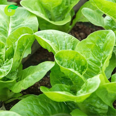 (HỘ KINH DOANH) TRƯƠNG THỊ NGUYỀN