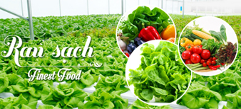 (HỘ KINH DOANH) TRƯƠNG THỊ NGUYỀN